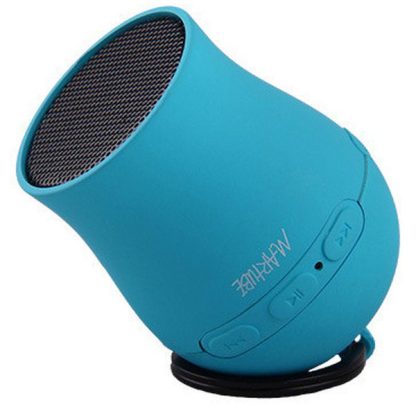 16802_Speaker_04